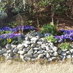 ヴィラ・デル・ソル - 庭