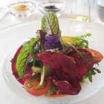 ヴィラ・デル・ソル - サラダが彩り鮮やかです。