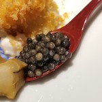 馳走 啐啄一十  - (09)フレッシュキャビア(ラトビア産)(7日寝かせ)
      フレッシュキャビアは塩辛さが控えめだからこそ、より旨みと甘みが楽しめるのですが、これを更に熟成
      トゥルンとした食感、より深くなった旨みが印象的。