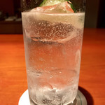Gin Tonic