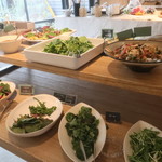 ステッサ - 野菜はたくさんある