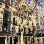 faborit - 2019年2月。訪問