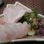 照寿司 - クエ食べ比べ