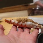 照寿司 - デカすぎる(笑)