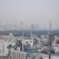 日本料理 旬彩 - 景色