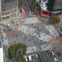 日本料理 旬彩 - 足元には