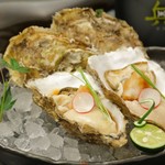 1 raw Oyster