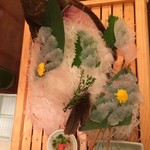 鳥の巣 - 