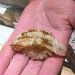 すし岩瀬 - 甘海老の炙り 