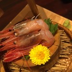 越後一会 十郎 - 南蛮海老