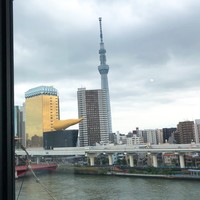 浅草むぎとろ 本店 - 