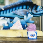 ブルーシール - 