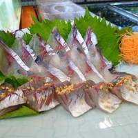稚加榮 本店 - 黄鯵（ごんあじ）2011・11