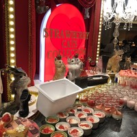 ロビーラウンジ 「マーブルラウンジ」 ヒルトン東京 -  ロビーラウンジ 「マーブルラウンジ」 ヒルトン東京 -