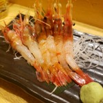 海鮮炭焼処とら太 - ぼたん海老（LINEサービス）