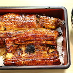 鰻屋だいちゃん 伊豆長岡 うなぎ 食べログ 鰻屋だいちゃん 伊豆長岡 うなぎ 食べログ