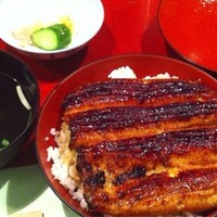 吉寅 - 