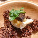 セララバアド - 