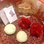 セララバアド - 