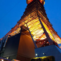 ワカヌイ グリル ダイニング バー 東京 - 