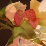 ウシマル - クリスマスローズ