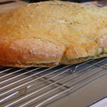 ウシマル - フォカッチャ