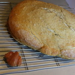 ウシマル - フォカッチャ