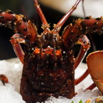 懐石 かみむら - 