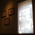 ウシマル - 店内　太陽が色んな影を造る芸術も