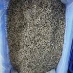 土佐角弘海産 - 水分を70％程飛ばした、天日干しの良さが強調されたちりめん(お土産用)