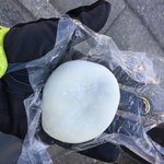 Wagashi Yamadaya Seki Ten