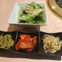 焼肉 銀座コバウ 特別室 - ナムルサラダ