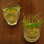 ロカール・ディ・チリエージョ - 冷製パスタ（2010年7月-2）