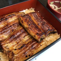 うなぎ藤田 白金台店 -  うなぎ藤田 白金台店 -