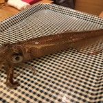 銀座 魚ばか - コレが噂の活け烏賊\(//∇//)\