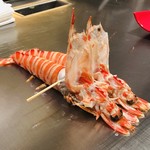 神楽坂 鉄板焼 中むら - 福岡県産玄界灘の活き大車海老