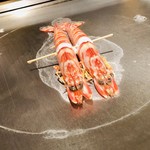 神楽坂 鉄板焼 中むら - 福岡県産玄界灘の活き大車海老