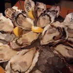 SPINY OYSTER BAR - 