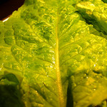 焼肉やまもと - 