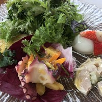サリーヒルズ - 