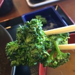 たなぽん食堂 - 