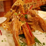 だぼ - お魚様の組み体操