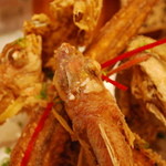 だぼ - 何人前やねん、この唐揚げ・・・