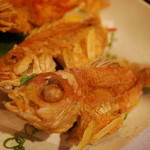 だぼ - ガシラ（カサゴのことかな？）