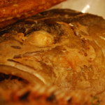 だぼ - カンパチさん、こんにちは