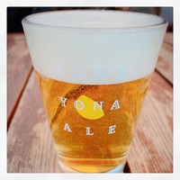 エノテカピッツェリア 神楽坂スタジオーネ - 