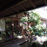 長谷路 - 本当に緑が多いです