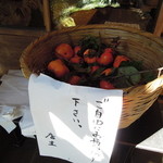 長谷路 - 自由に持って帰っていいようです・・・