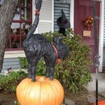 ケープコッド・クックオフ - 