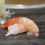 鮨 山浦 - 道南牡丹海老